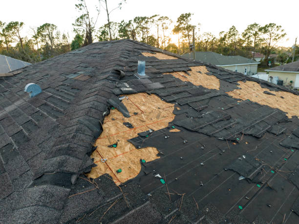 Best Storm Damage Roof Repair  in Baldwin, MI