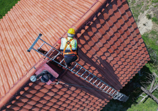Best Solar Panel Roofing Installation  in Baldwin, MI